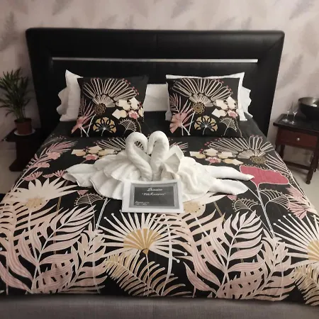 別荘 Kerangoues 3 Etoiles セレスタ